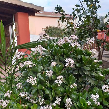 Apartmán I Due Ciuchini Sardinia Sassari Exteriér fotografie